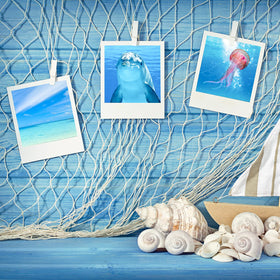Shappy beige fish net table runner adds coastal charm.