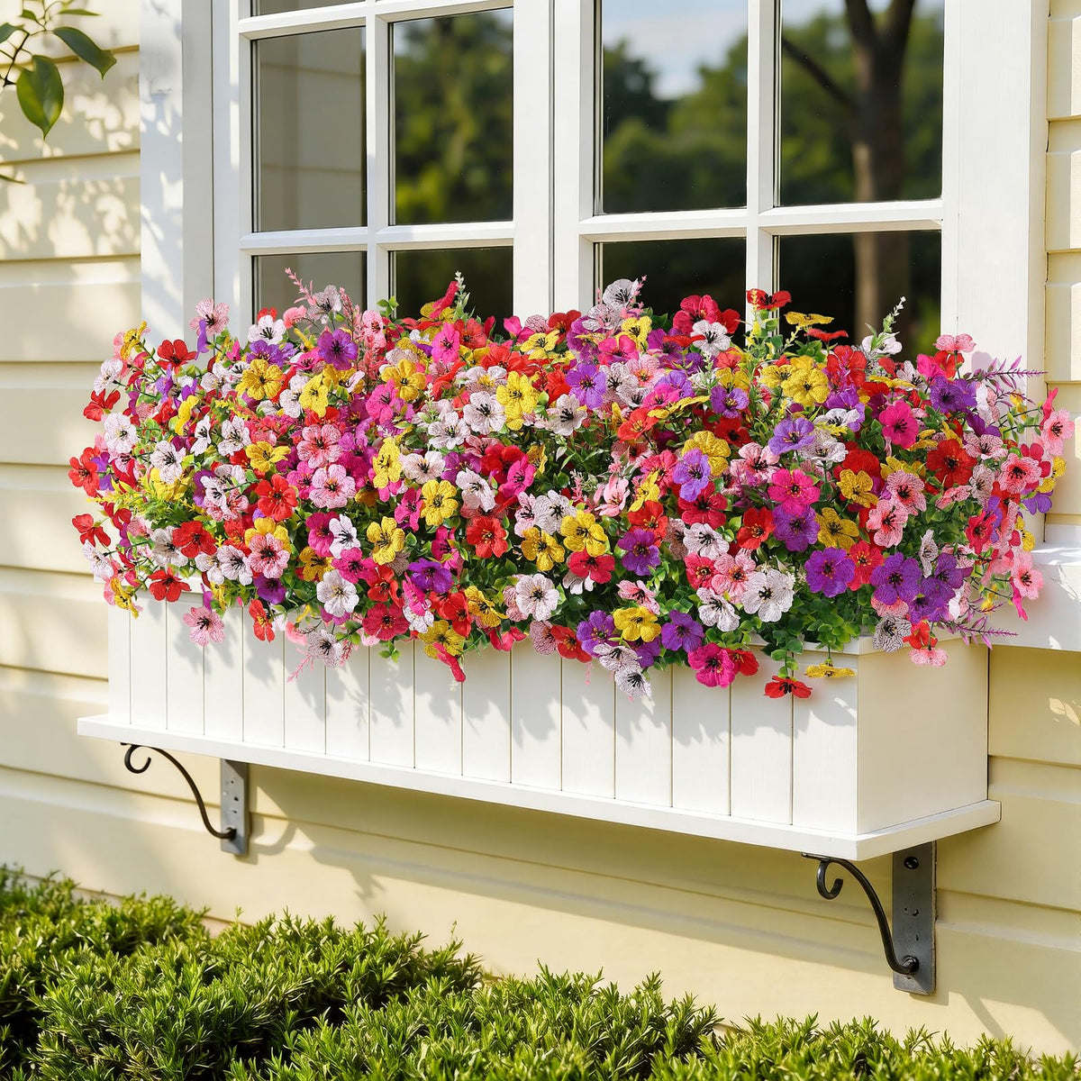 SHareconn purple daisy mix creates soft focal points in living rooms.