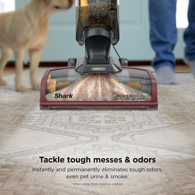 Shark CarpetXpert HairPro captures pet hair with tangle-free suction.