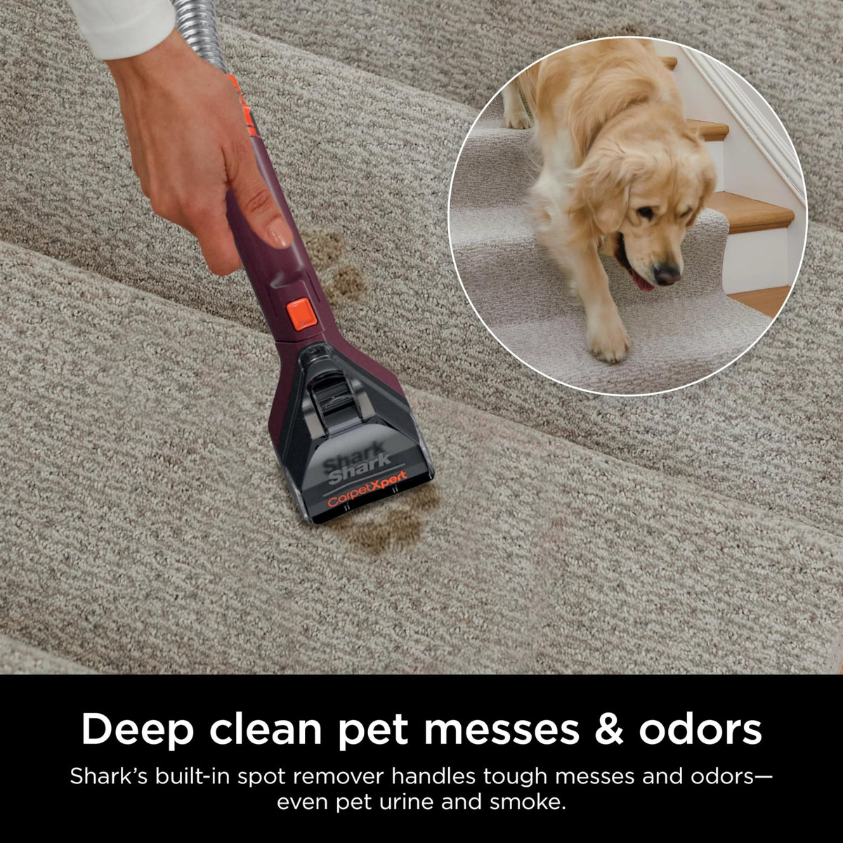 Shark EX150 carpet-shampoo head revitalizes carpets for refreshed texture
