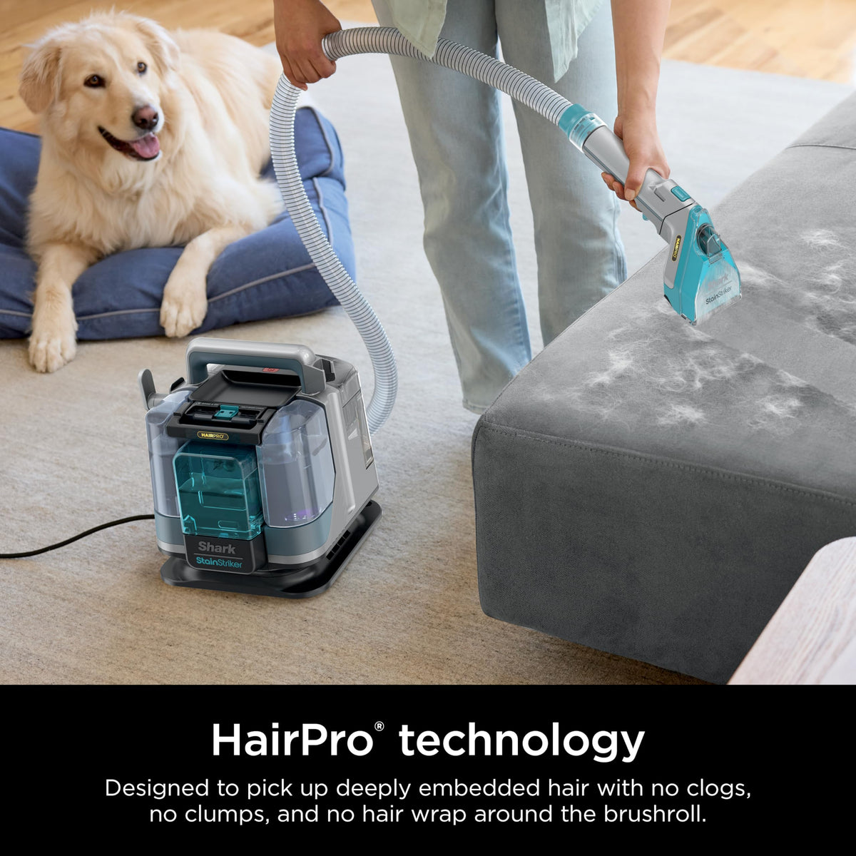 Shark StainStriker HairPro tackles pet stains and odors effectively