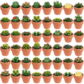 Shihanee 48-piece succulent candles set in red cactus shapes for home decor