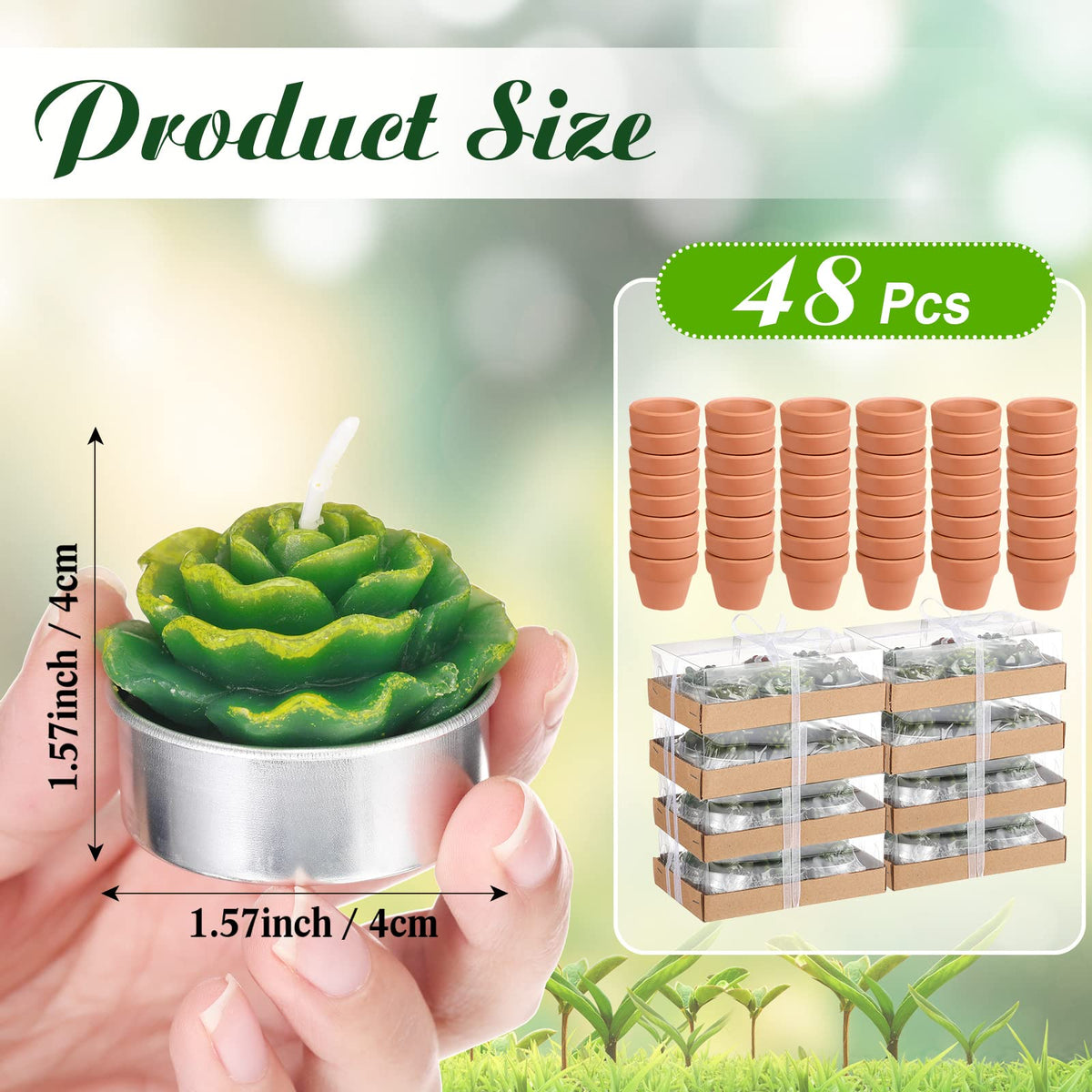 Shihanee terracotta candle holders with succulent candles