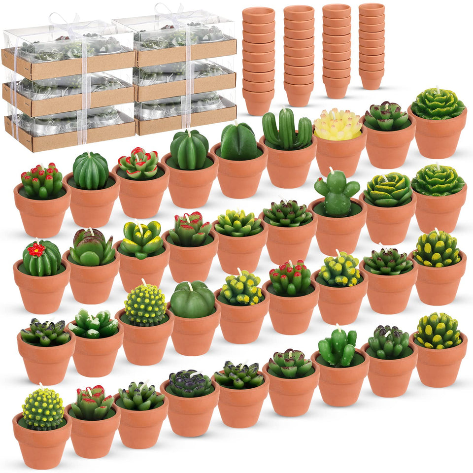 Shihanee succulent-tealight candles in terracotta pots provide a warm spring glow.