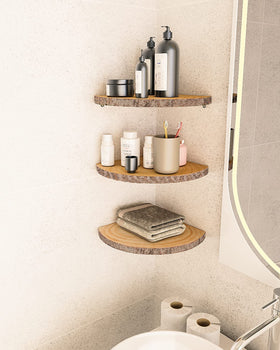 ShineZoom bedroom organizer displaying books clocks plants