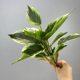 Shirfloral greenery for shelves and tabletops, adding natural appeal.