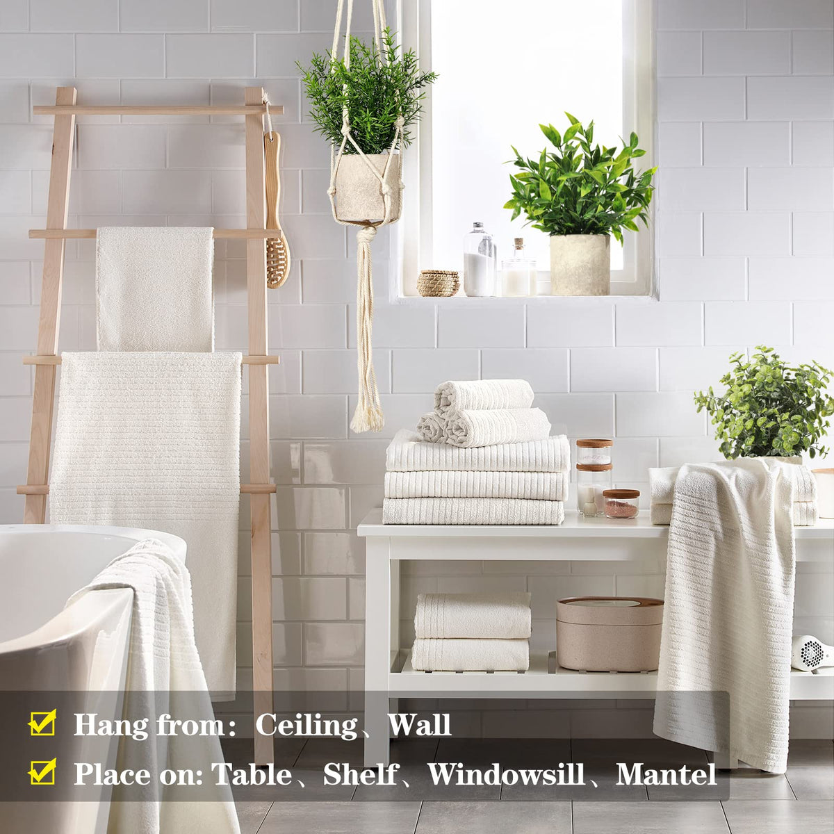 Shohayto hanging plants on display boosts cozy ambience for home offices and kitchens.