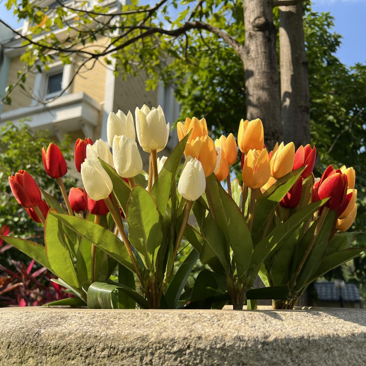 Shyshining tulips outdoor pack 03 showcasing lifelike petals and color.