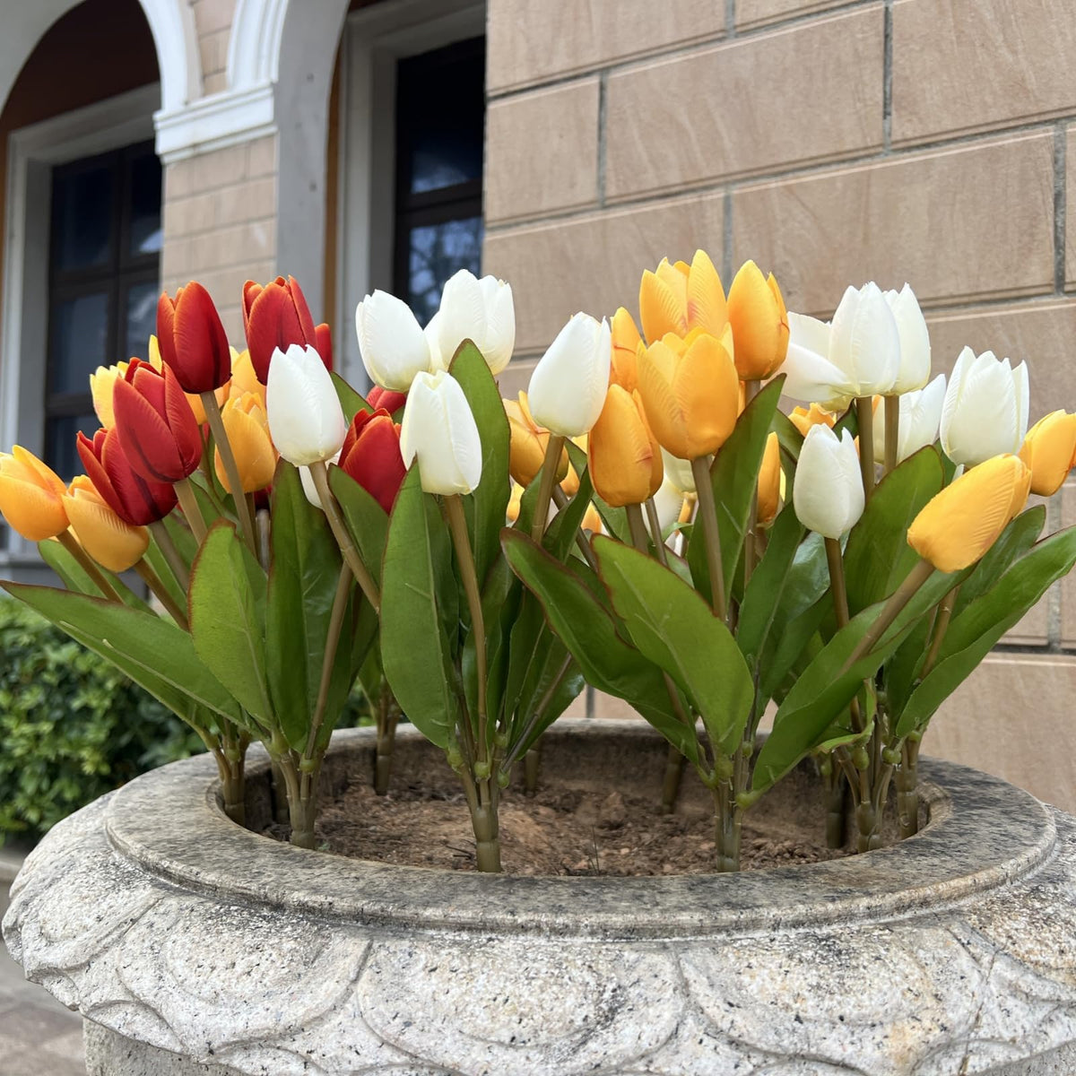 Shyshining outdoor tulips pack 04 designed for durable year-round display.