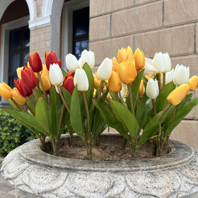 Shyshining outdoor tulips pack 04 designed for durable year-round display.