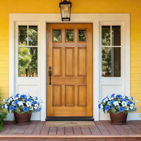 SIECCY blue-white petunias in hanging basket for year-round color