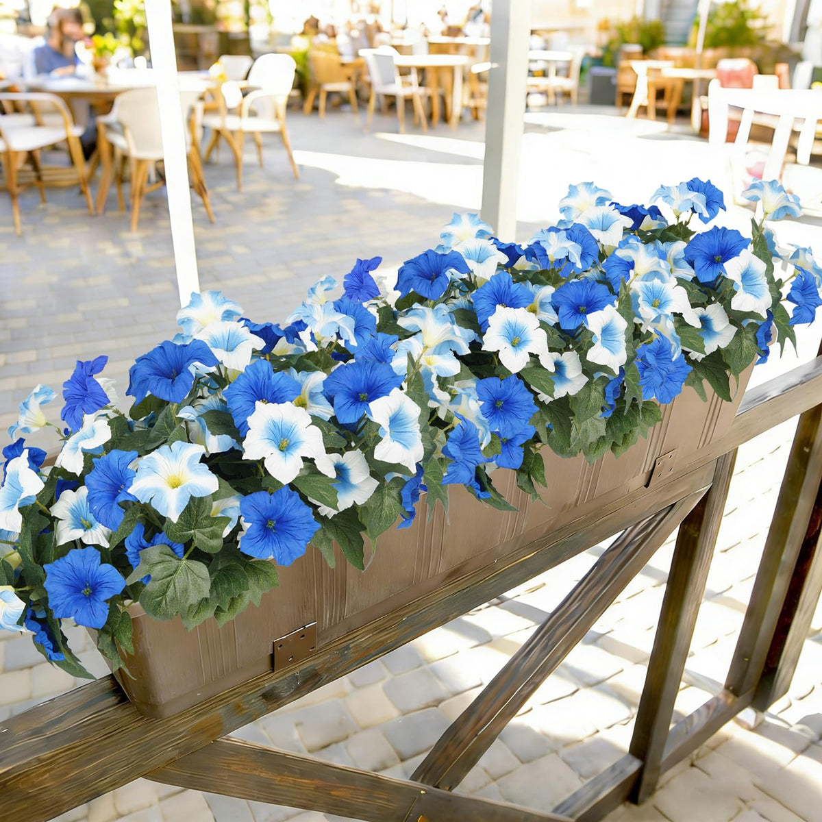 SIECCY petunias blue-white 6-bundle display for versatile setups