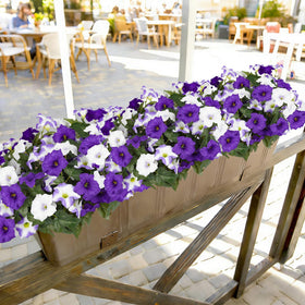 SIECCY porch railing with faux petunias in hanging basket