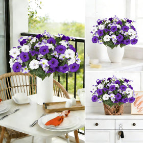 SIECCY UV-resistant petunias showing fade-proof outdoor durability