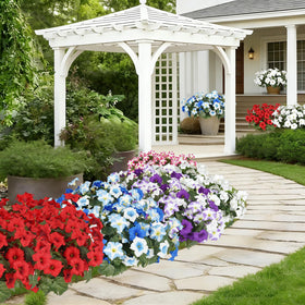 Window box display of SIECCY outdoor white petunias, lifelike blooms.
