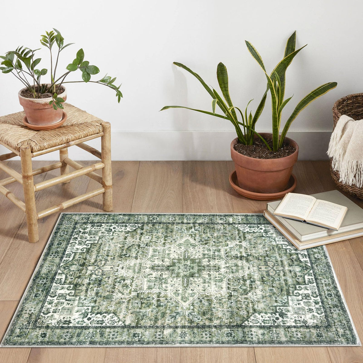 SIILOOM green medallion rug in living room offering cozy, stylish comfort