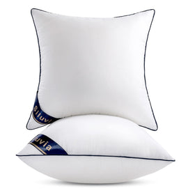 Siluvia Euro Pillows 26x26 square inserts set of 2 on a sofa for decor