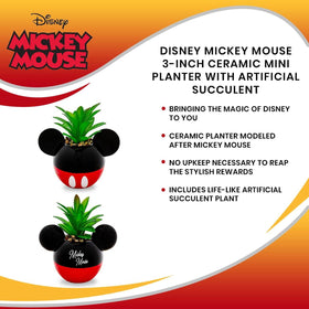 Silver Buffalo House of Mouse display using a small Mickey planter.