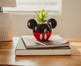 Silver Buffalo Mickey planter with artificial plant requires no upkeep.