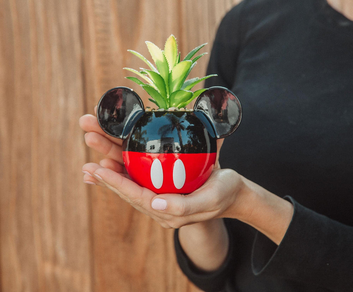 Silver Buffalo desk decor mini planter brightens any workspace.