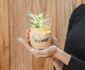 Silver Buffalo Disney licensed planter adds whimsy to desks and shelves.