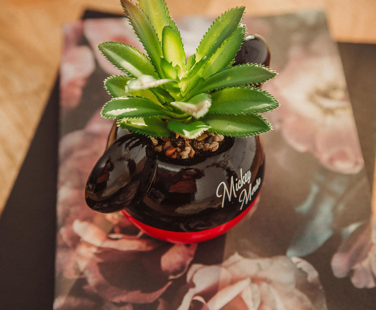 Silver Buffalo officially licensed Mickey planter adds Disney charm to display.