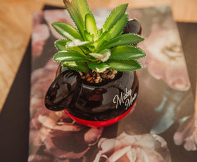 Silver Buffalo officially licensed Mickey planter adds Disney charm to display.