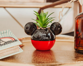 Silver Buffalo compact ceramic planter featuring Mickey silhouette for small spaces.