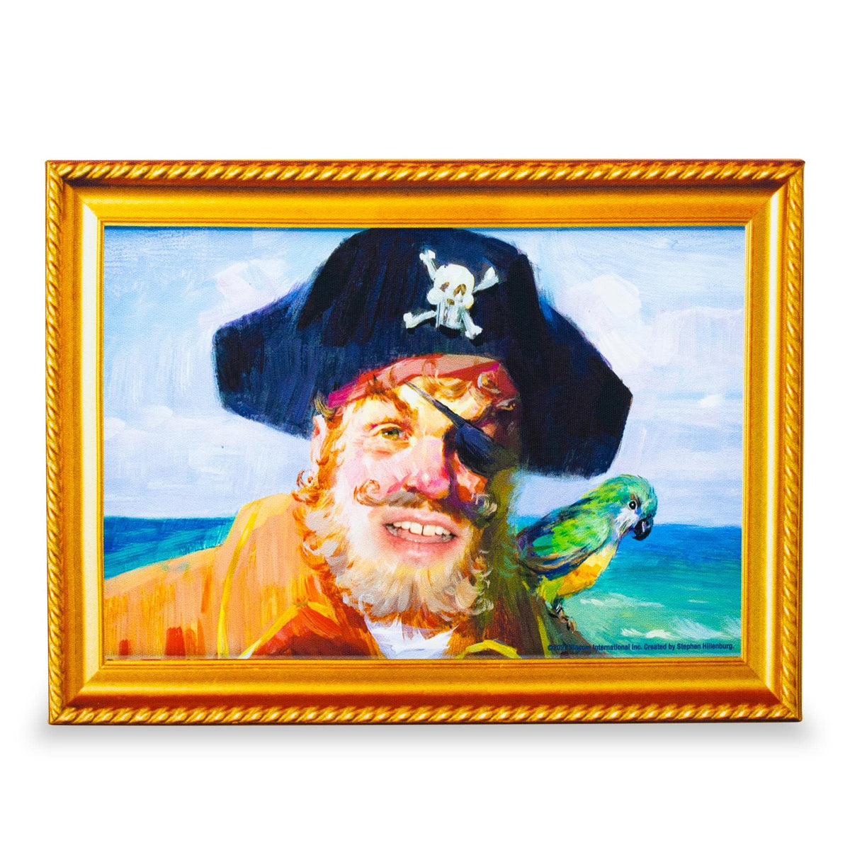 Silver Buffalo Captain Painty pirate canvas wall art adds nautical charm to any room