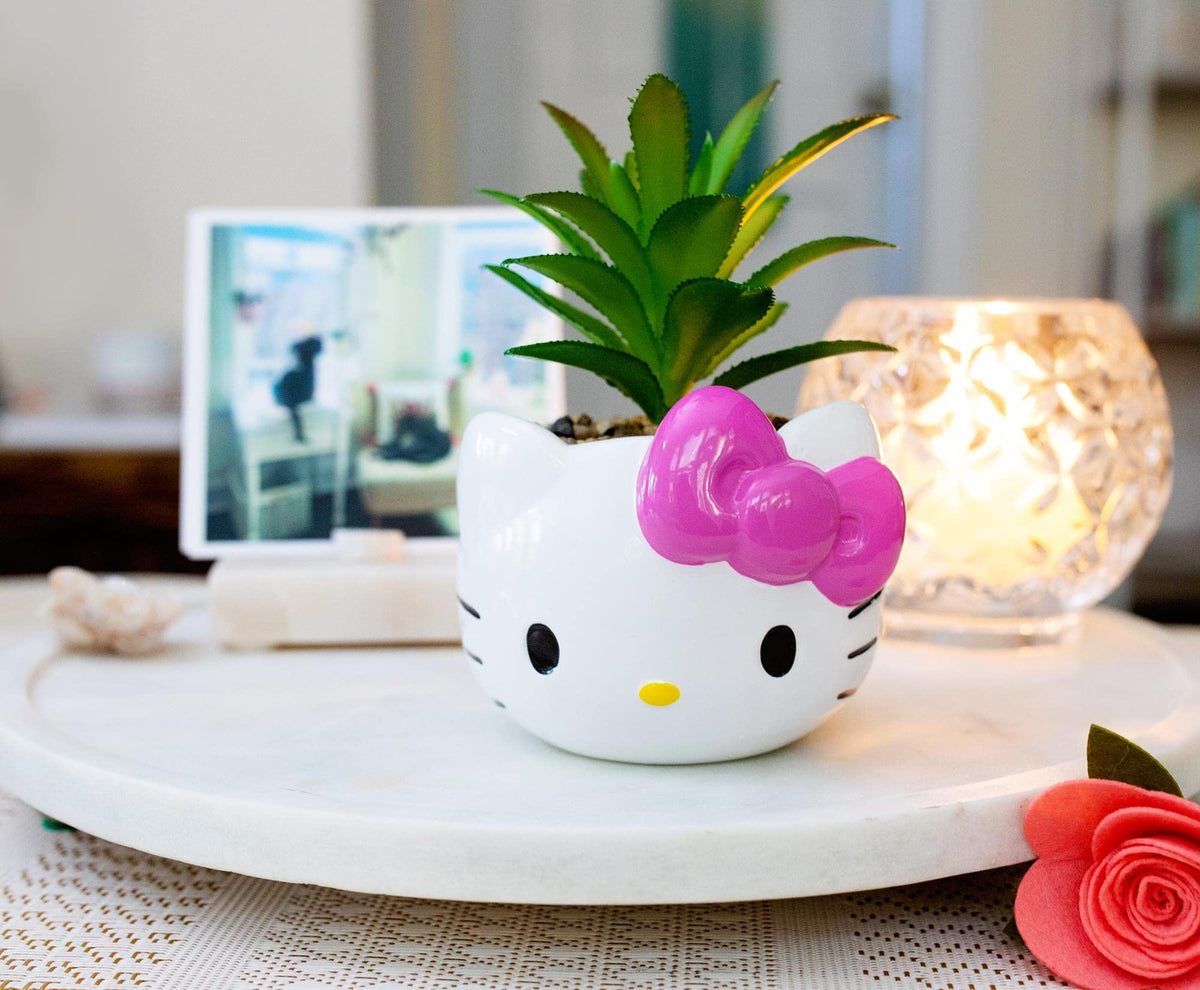 Hello Kitty mini planter displayed on a desk for compact decor