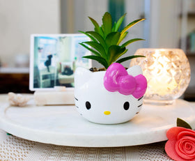 Hello Kitty mini planter displayed on a desk for compact decor