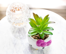 Gift-ready Hello Kitty planter suitable for home or office spaces