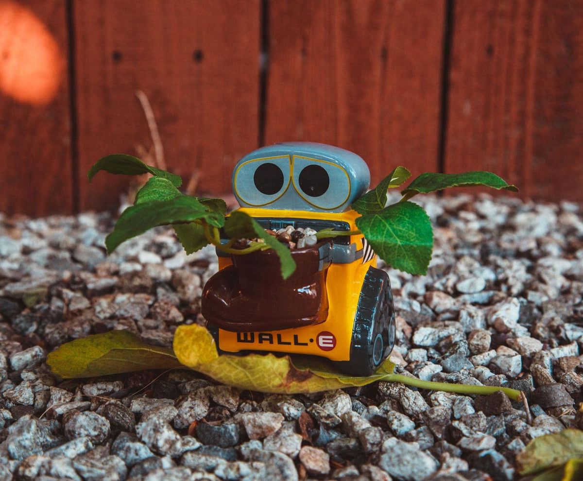 Silver Buffalo Wall-E holding shoe planter invites playful greenery.