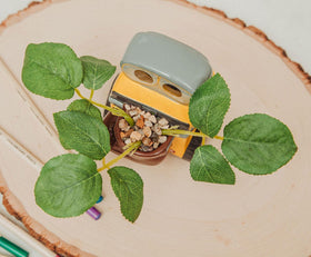 Silver Buffalo Wall-E official collectible planter blends fandom and function.