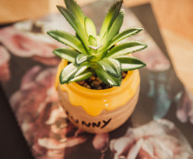 Silver Buffalo Winnie the Pooh Hunny Pot planter as a collectible gift idea.