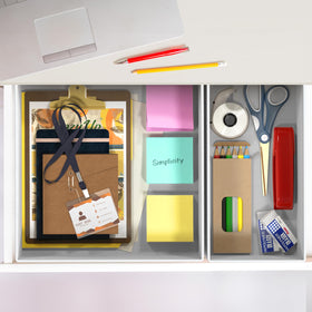 Simple Houseware collapsible bins save space when not in use