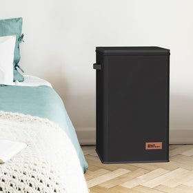 Simple Houseware portable solution with lid and bag supports simple laundry transport.