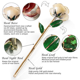 Sinvitron 24K gold cover on stem and leaves adds lasting elegance