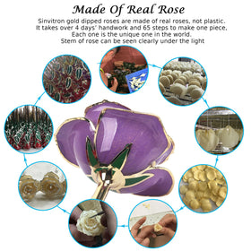 Sinvitron gold-dipped rose detail captures delicate petals with premium finish