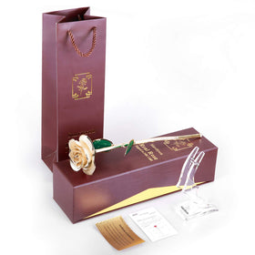 Sinvitron ivory white rose glow accents shelves and tabletops