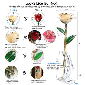 Sinvitron gold-dipped rose petal veins visible for a natural, heirloom-like gift