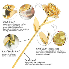 Sinvitron gold-dipped rose stem and leaves for luxurious romantic decor.