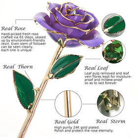 Sinvitron resin-preserved rose bloom retains vibrant color for long-lasting decor