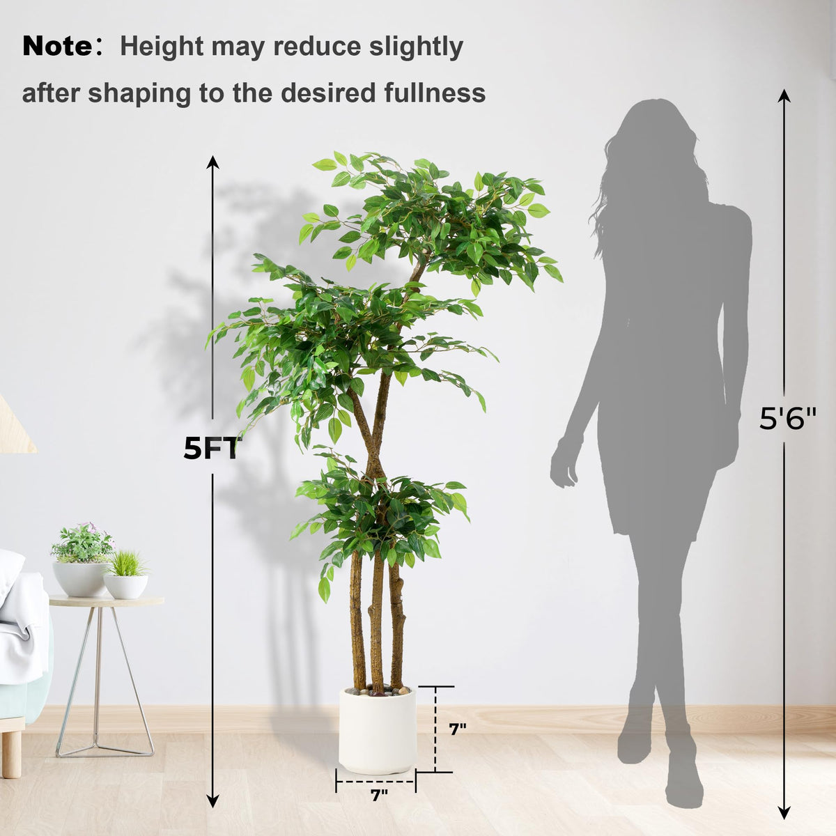 Full setup of the SIYEGIFT ficus tree ready for display.