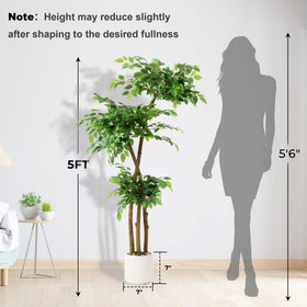 Full setup of the SIYEGIFT ficus tree ready for display.