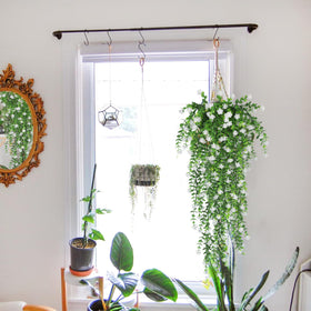 SJL weatherproof vines suitable for outdoor walls, patios, and events.