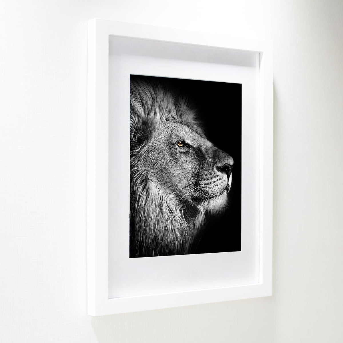 SKAOTUS horizontal and vertical hooks enable easy wall mounting.