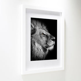 SKAOTUS horizontal and vertical hooks enable easy wall mounting.