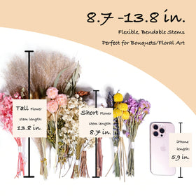 SKOGSKUNST dried flowers provide long-lasting color for home decor.