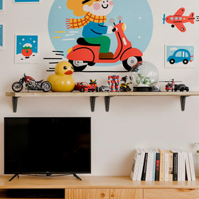 SKYSEN decorative storage shelves enhance living room organization